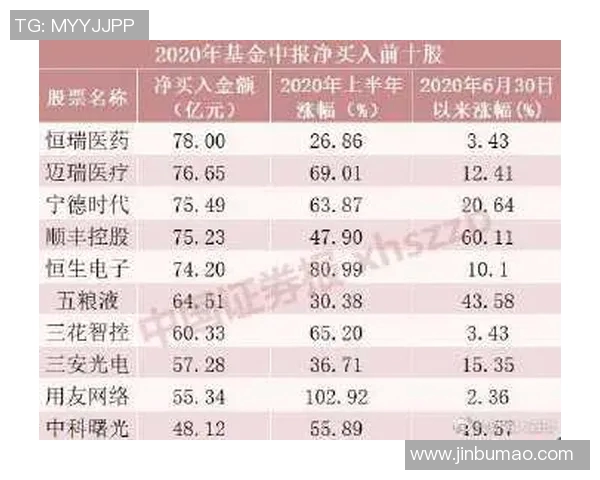 重庆排球队在世界锦标赛中的团队协作表现分析与点评
