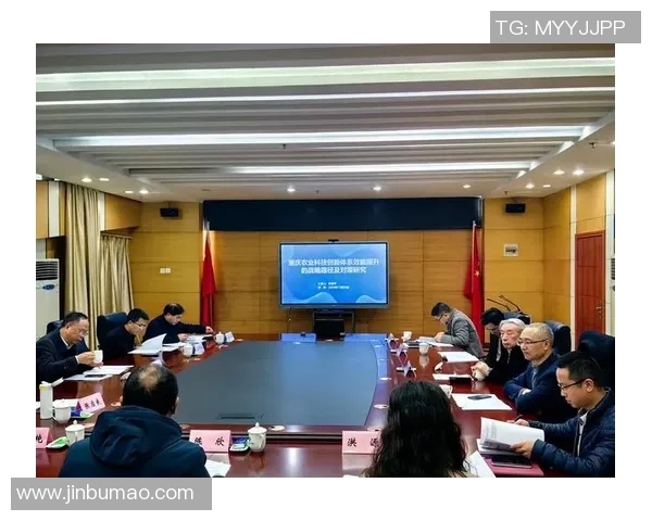 重庆网球队实力深度剖析及各队员表现对比研究