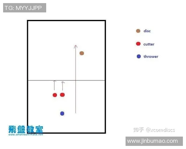 飞盘热潮下的北京飞盘队运营模式与发展策略深度解析