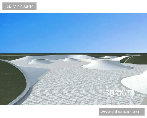 上海极限运动队的灵活性探讨与发展现状分析