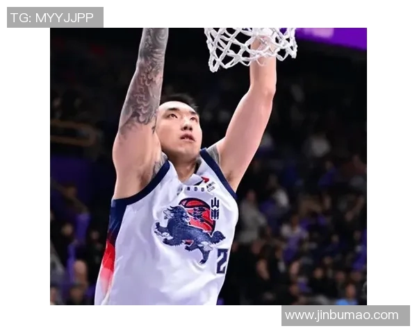 陶汉林：从篮球场上的拼搏者到社会公益的践行者的蜕变之路