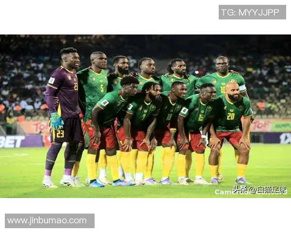 阿尔及利亚与尼日利亚精彩对决全场录像回放及精彩瞬间解析