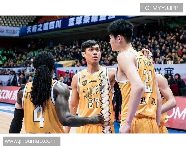 2015年辽宁队与四川队的精彩对决回顾与分析 2015年辽宁队与四川队的精彩对决回顾与分析