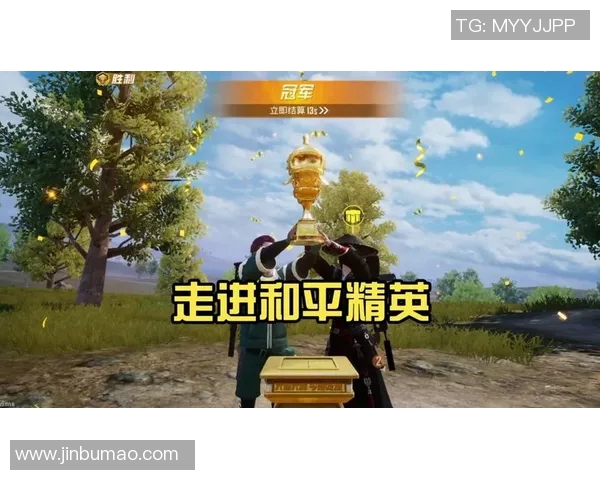 专访陈伟揭秘和平精英成功背后的策略与创新之路